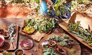 Exploring indigenous cuisine on a Bush Tucker Tour
