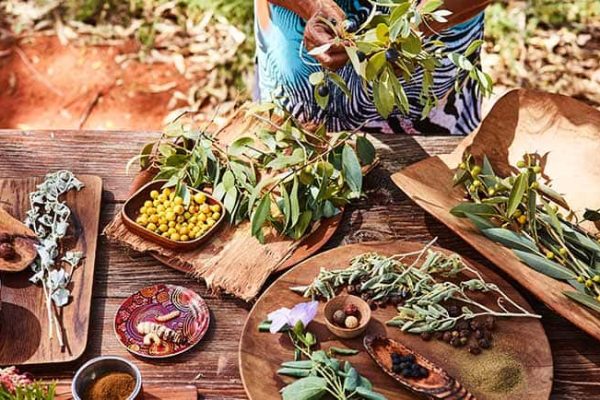 Exploring indigenous cuisine on a Bush Tucker Tour