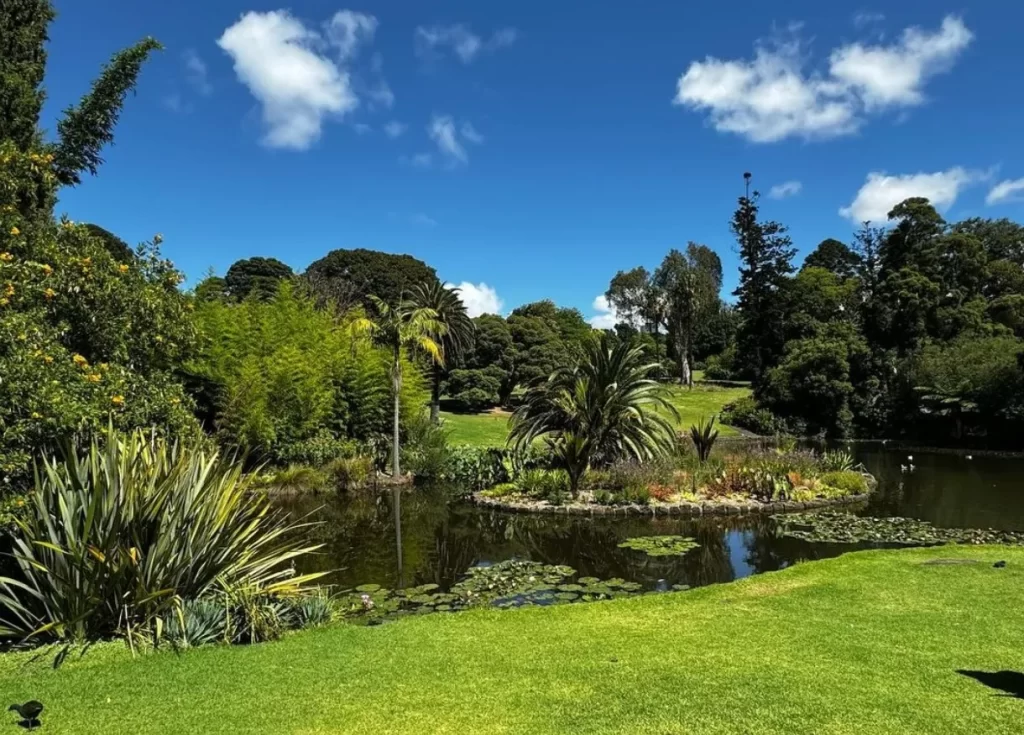 Ornamental Lake