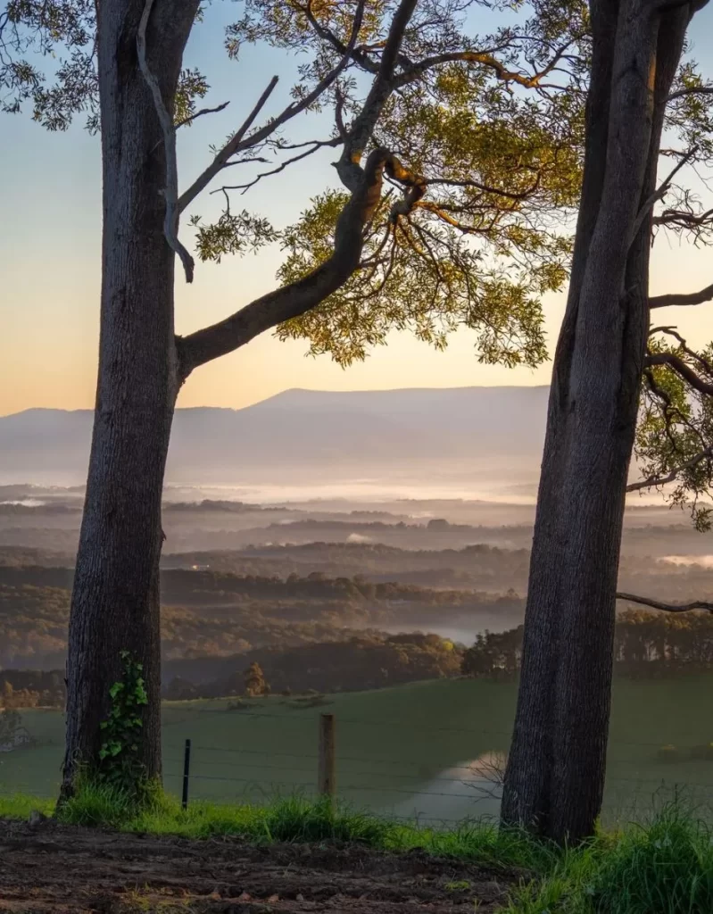 Dandenong Ranges