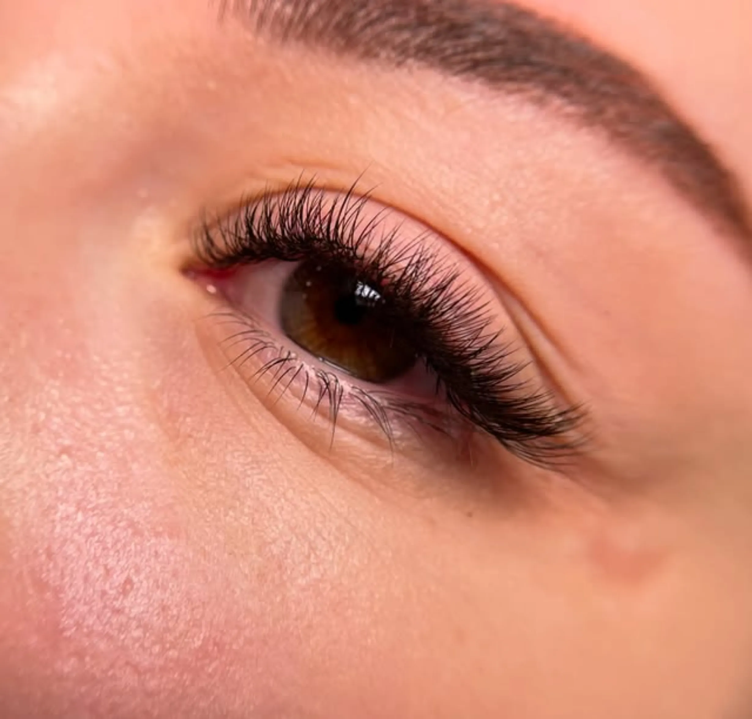 eyelash extension course