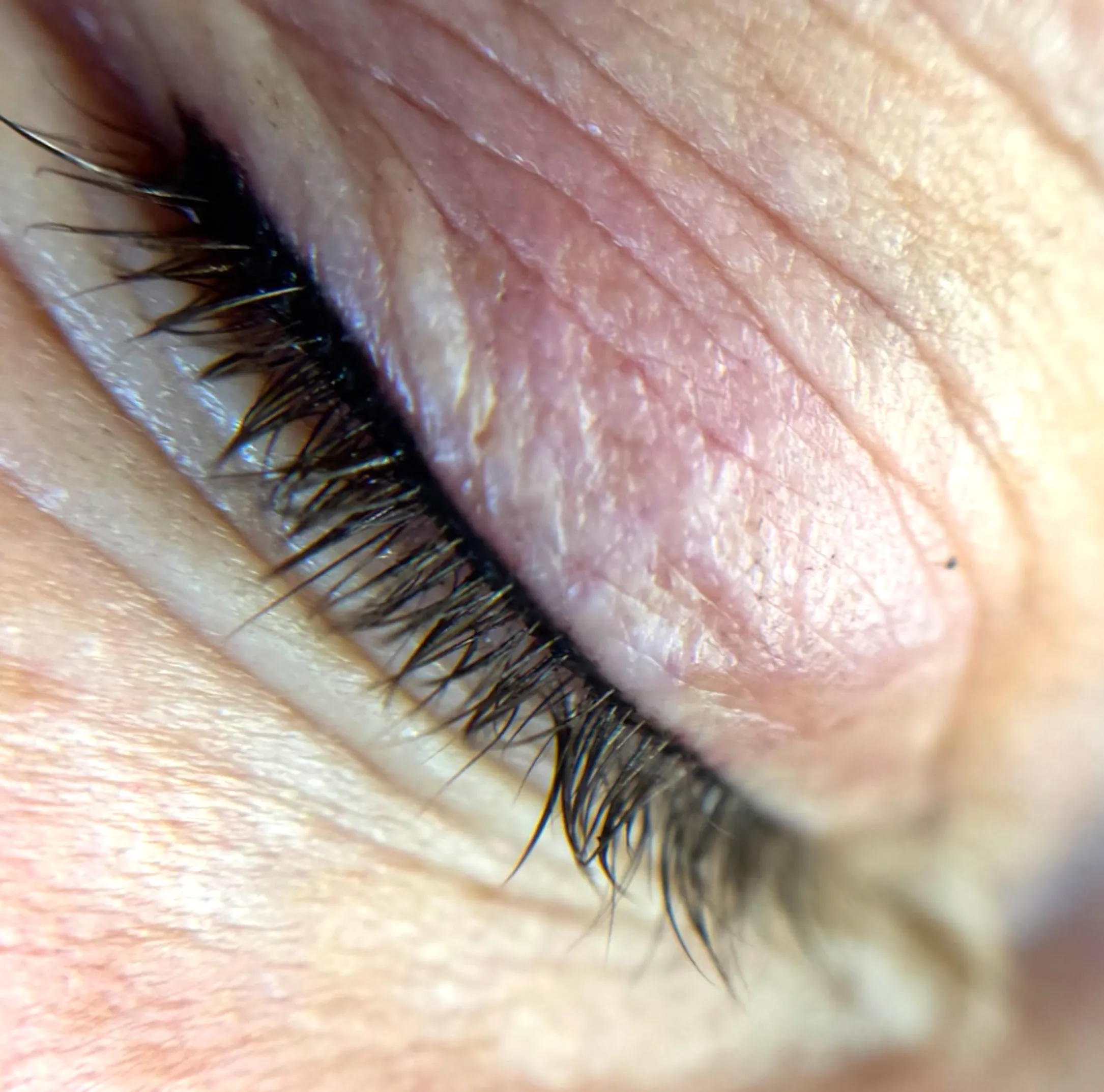 lash extensions vs mascara