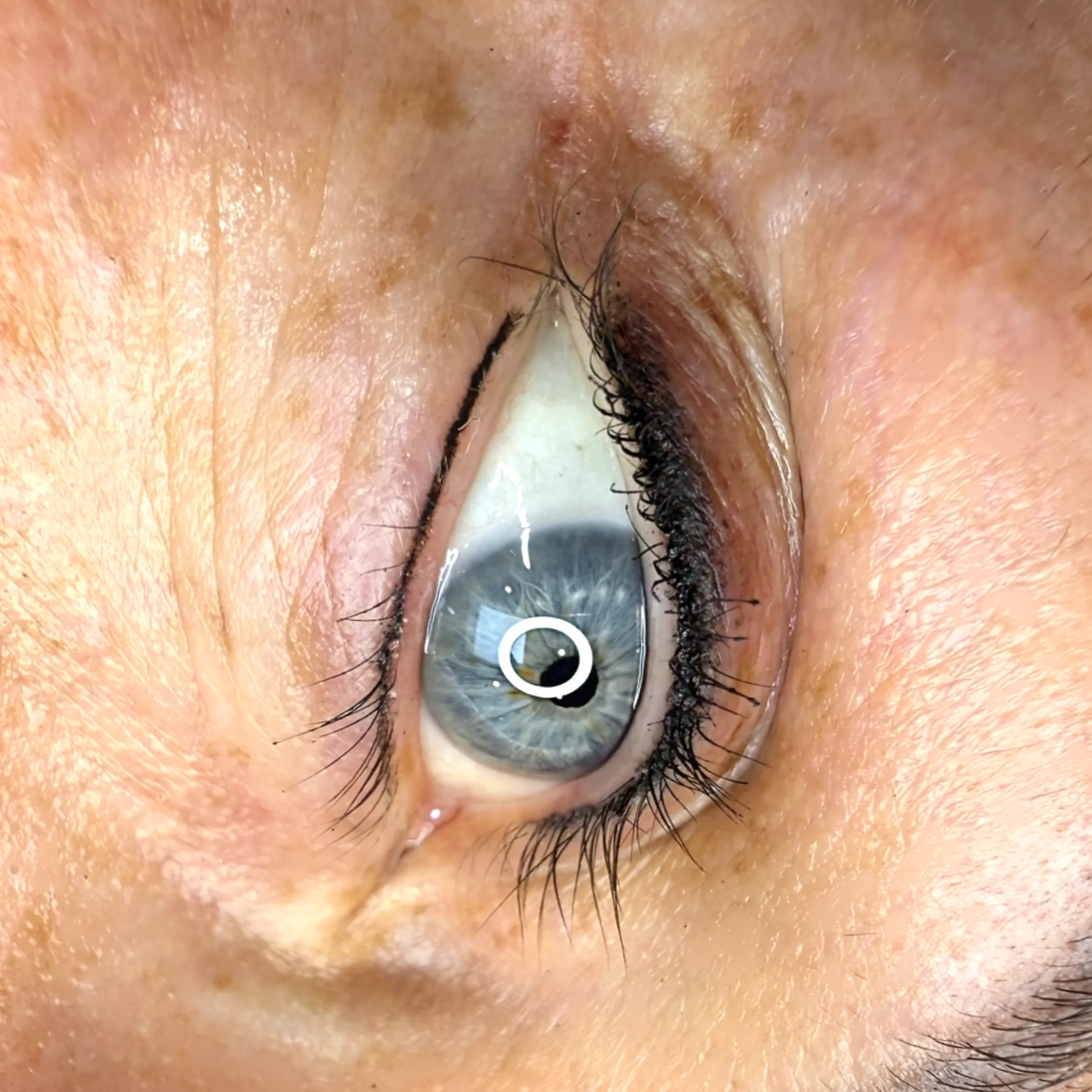 permanent makeup eyeliner