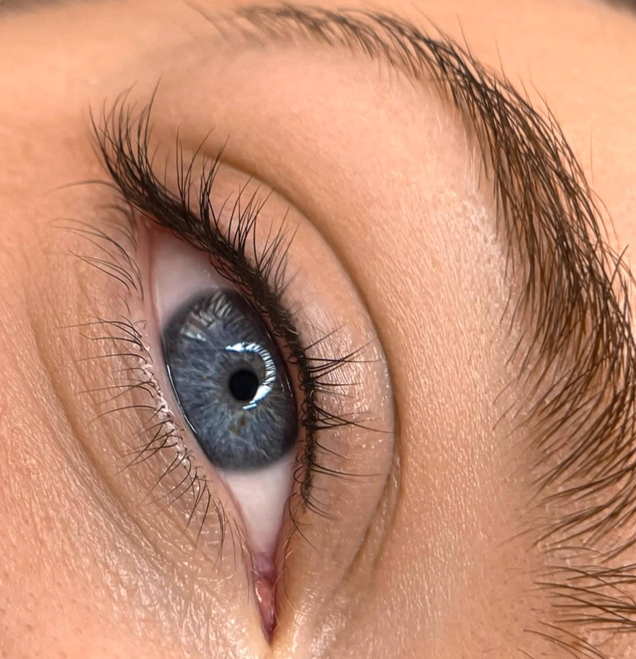 eyeliner tattoo cost vs lash extensions
